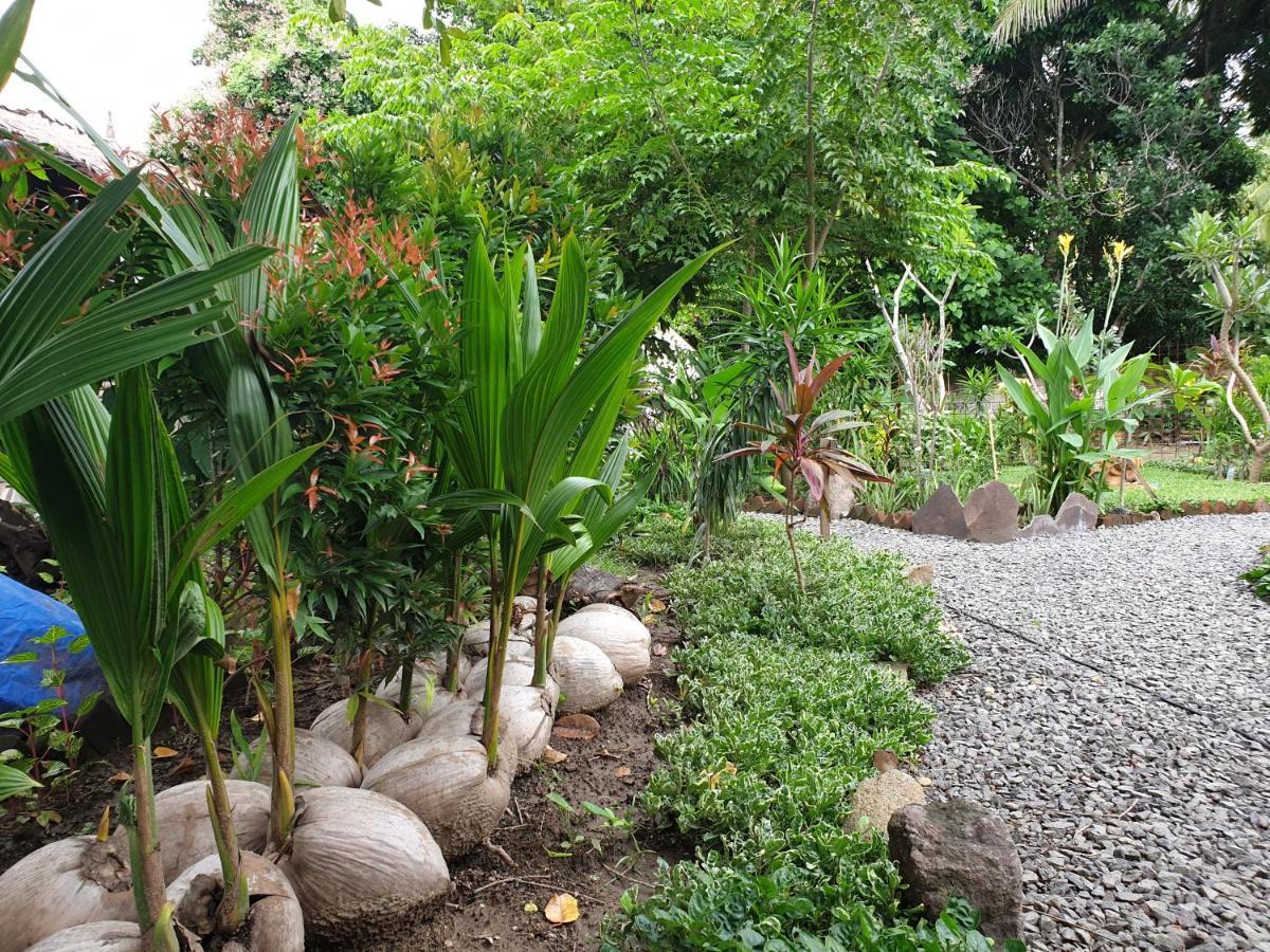 Same Same Bungalows - Eco Friendly Kuta  Екстериор снимка